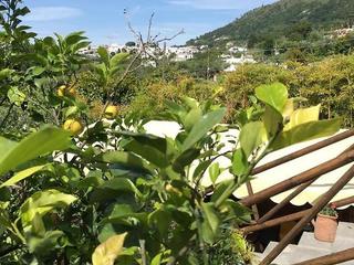 Relais Villa Anna (tr)