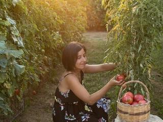 Hotel Al Mulino (tr)