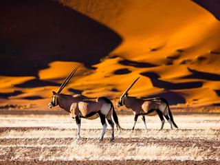 Rundreise Klassisches Namibia für Selbstfahrer,Selbstfahrerreise-Klassisches Namibia,Selbstfahrerreise-Klassisches Namibia Komplett (tr)