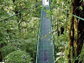 Nationalpark Monteverde,Nebelwald Monteverde (tr)