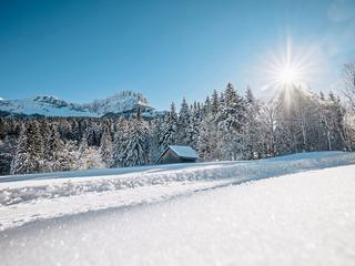 Berghof Tauplitzalm (tr)