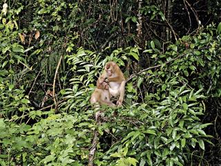Khao Yai Nationalpark (tr)