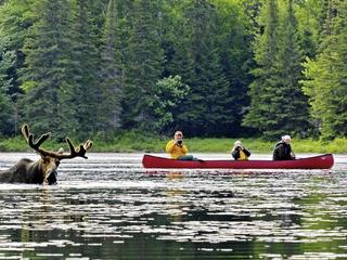 Eastern Wonders (tr)