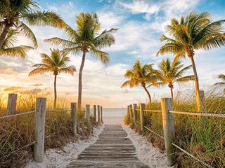 Florida Sunshine State,Sonnenseite Floridas (tr)