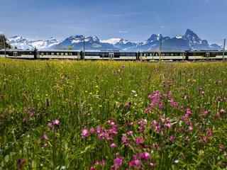 Bahn-Wandern GoldenPass Line 3-Sterne Hotel,Bahn-Wandern GoldenPass Line, Hotel Masson (tr)