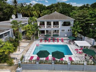 Travellers Palm (tr)