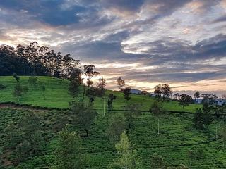 Authentisches Sri Lanka (tr)