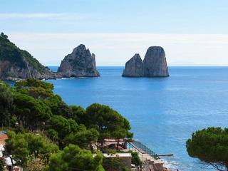 Weber Ambassador (tr)