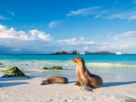 Ecuador mit Galapago
