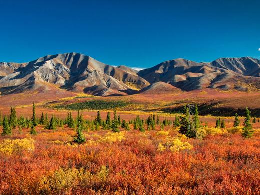 Best of Yukon & Alaska,Rundreise Best of Yukon & Alaska