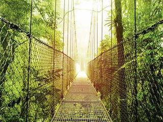 Nationalpark Arenal (tt)