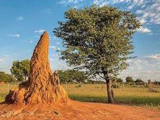 Namibia mit Kinderaugen (tt)