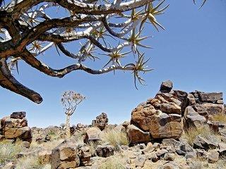 Best of Namibia (Autoreise) (ehemals Facettenreiches Namibia für Selbstfahrer) (tt)