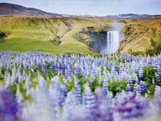 Perlen der Südküste (tt)