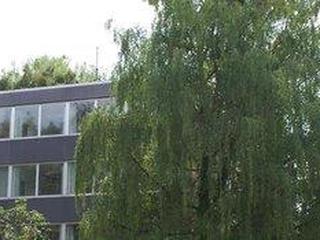 CREO Munich City (tt)