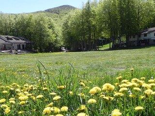 Albergo Le Macinaie (tt)