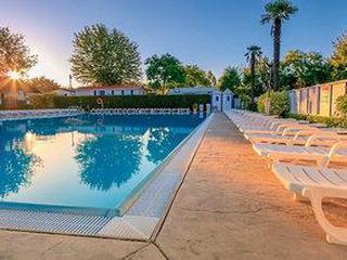 Camping Village Butterfly by Happy Camp (tt)