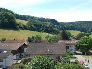 Landgasthof Grüner Baum (tt)