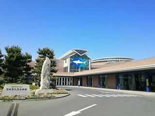 Wing International Hitachi (tt)