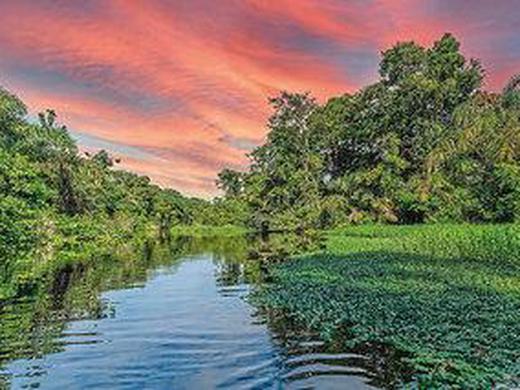 Karibik- und Dschungeltour