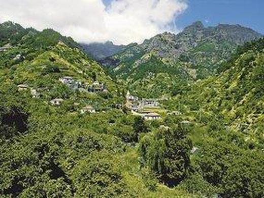 Madeira - Grüne Trauminsel im Atlantik