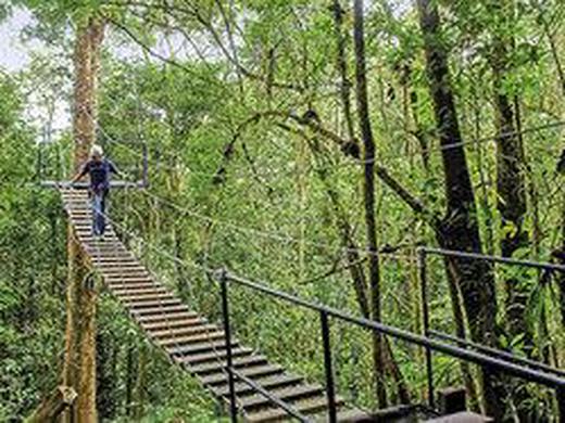 Costa Rica - auf der Suche nach den Faultieren