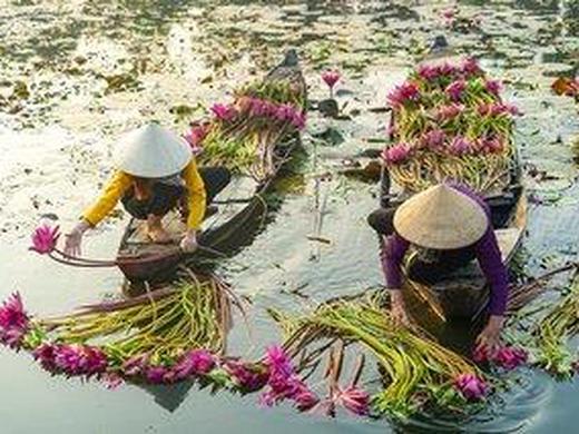 Kleingruppen-Rundreise Vietnam, Kambodscha & Thailand