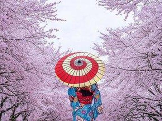 Kleingruppenrundreise - Japan Maiko