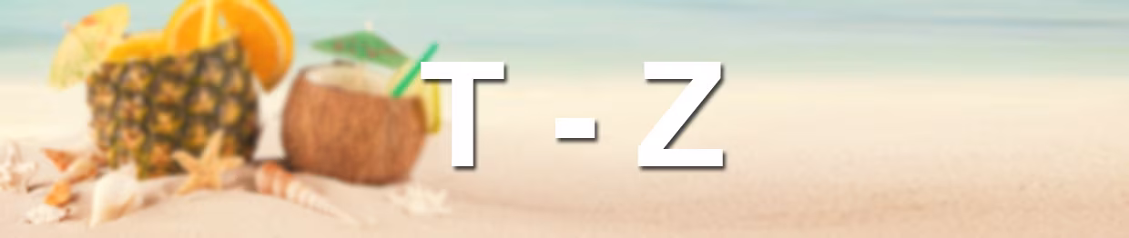 Last Minute T - Z