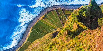 Last Minute Madeira