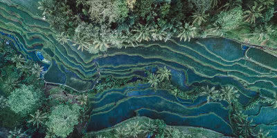 Bali Ubud