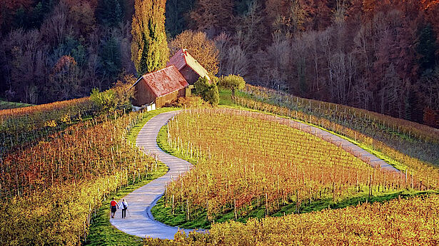 herzal weg in slowenien herzal weg in slowenien