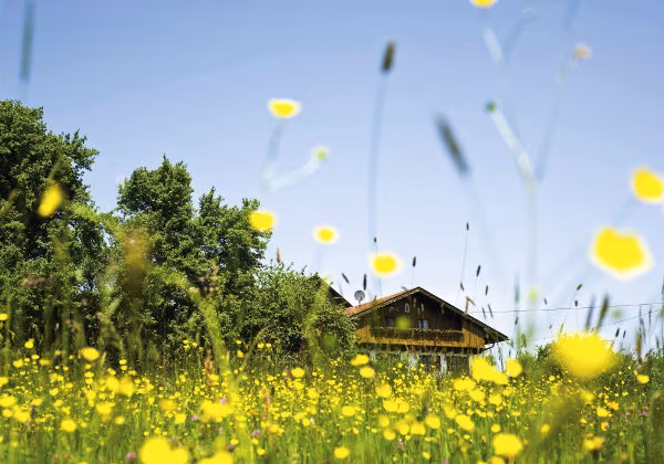 Bayern Ferienhaus