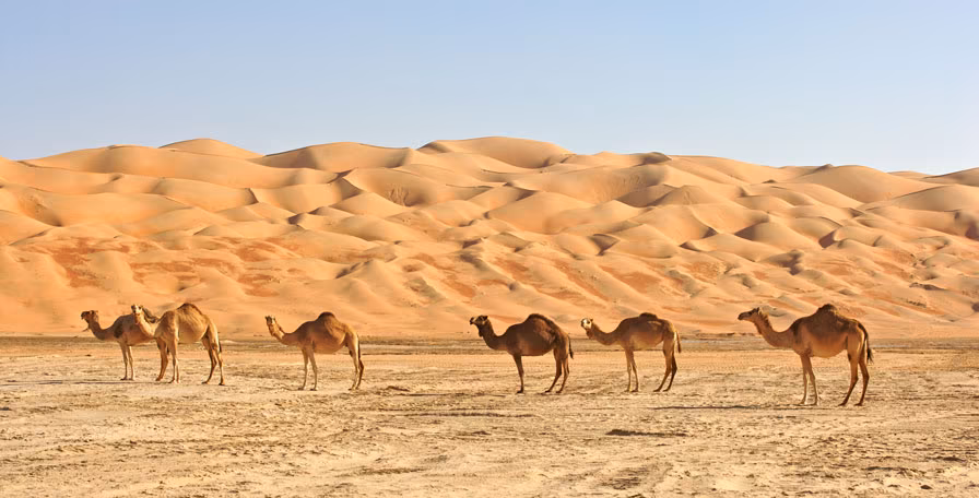 Oman Tipps