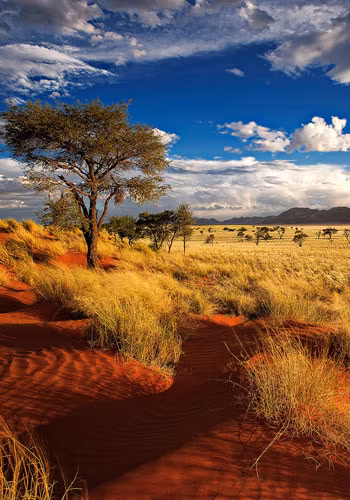 Afrika Namibia Rr