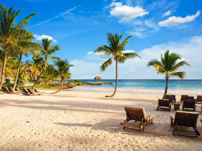 DomRep Strand