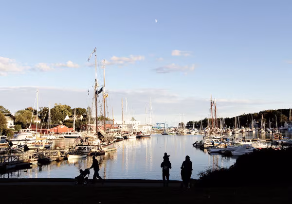 Camden Harbour
