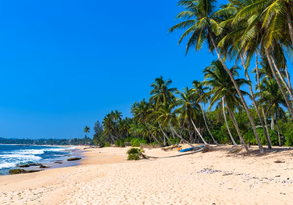 Silvester Sri Lanka