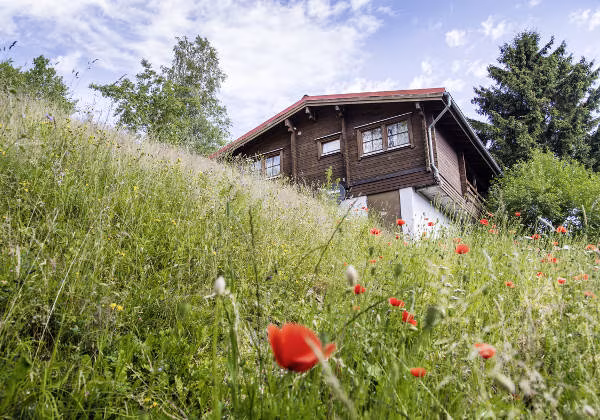 Ferienhaus Natur