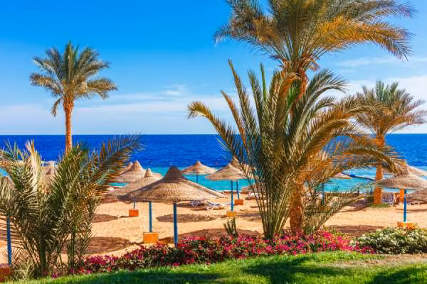 Sharm El Sheikh Strand mit Palmen und Sonnenschirmen Sharm El Sheikh Strand Palmen Meer