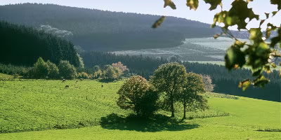 Saürland Landschaft