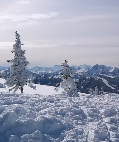 Skifahren in Flachau