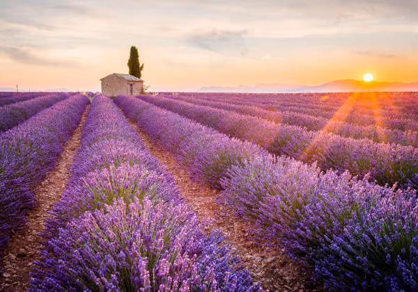 Provence