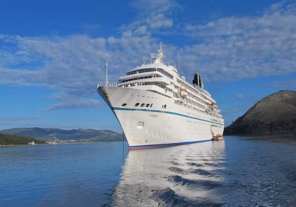 Ms Amadea