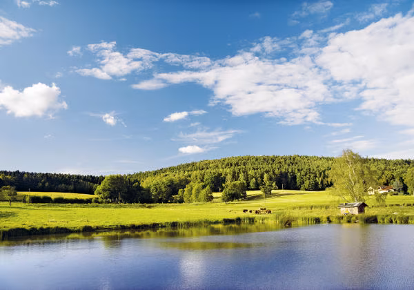 Thüringen See