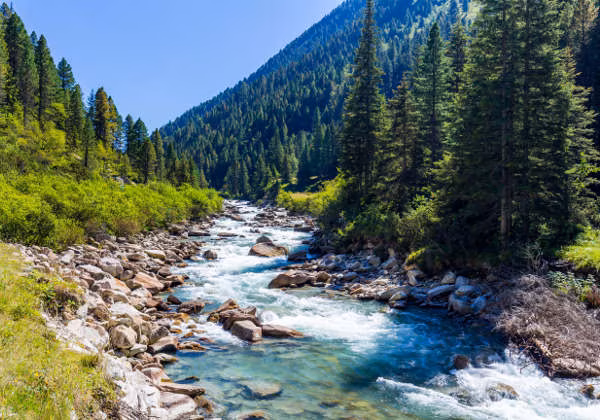 Bach Berge