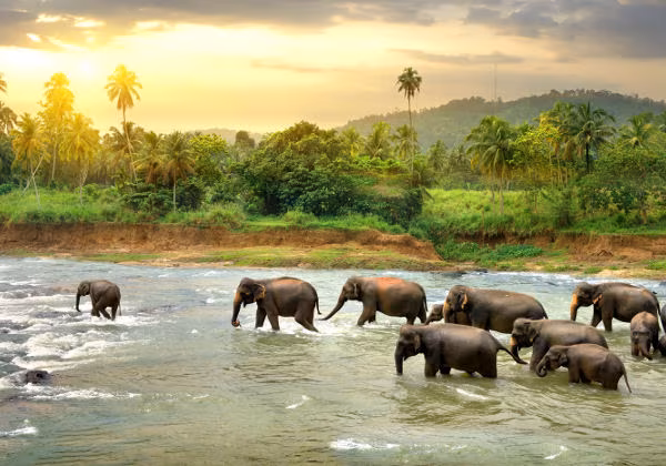 Sri Lanka