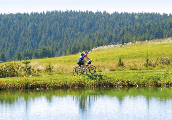 Harz Mountainbike