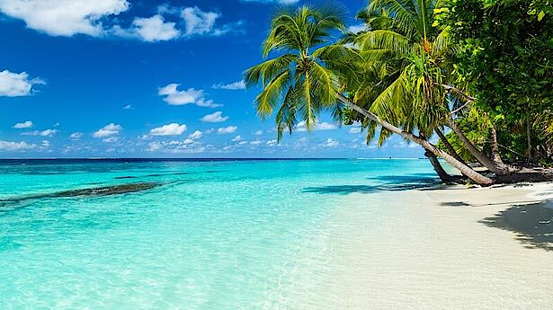 karibischer strand karibik