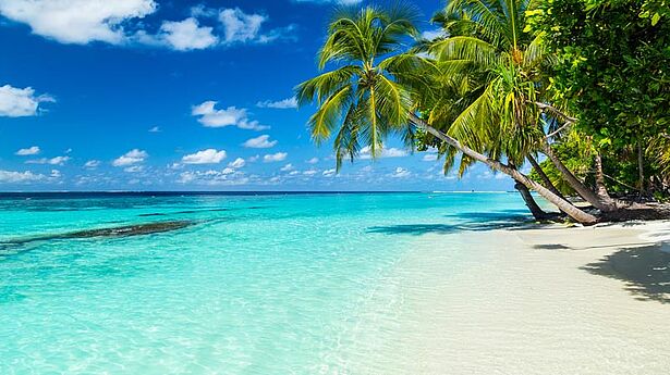 karibischer strand karibik karibischer strand karibik